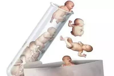 供卵包生男孩