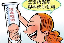 供卵包生男孩